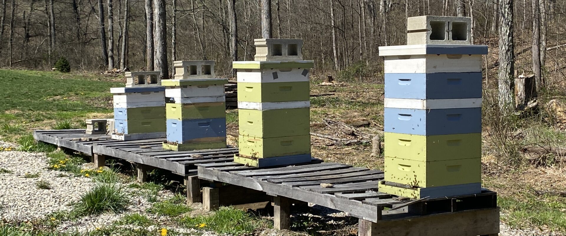 Honey Hole Apiary